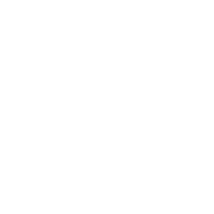 icon consistency - cantianiagency.com