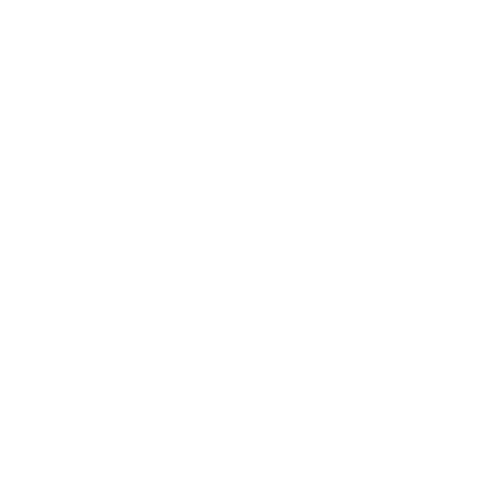 icon excellence - cantianiagency.com