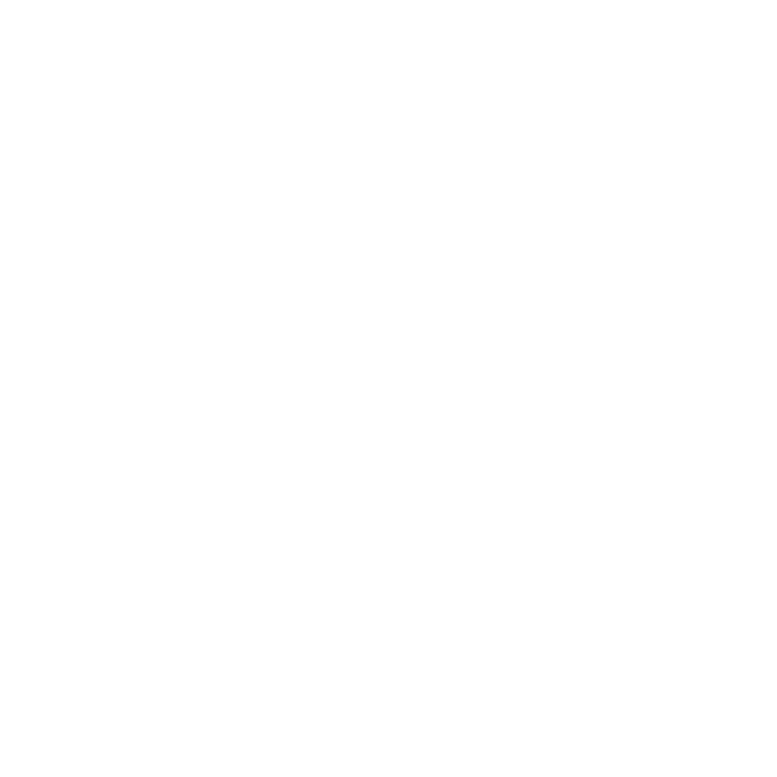 icon focus - cantianiagency.com