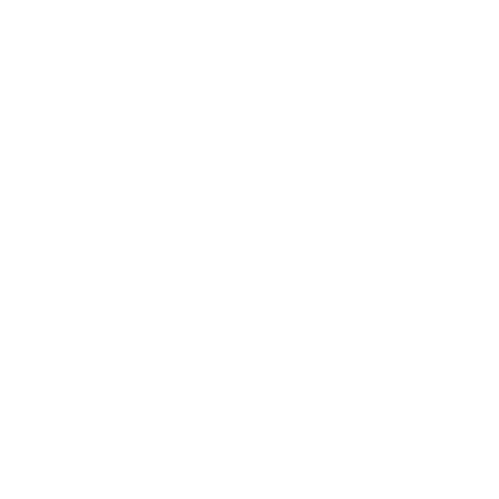 icon integrity - cantianiagency.com