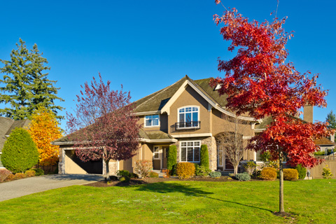 home_cantiani